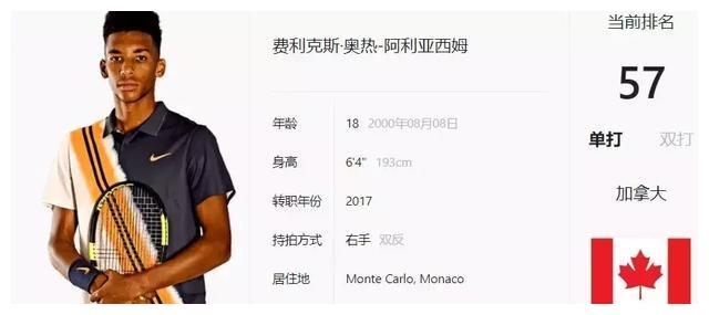 在这篇文章 在这篇文章